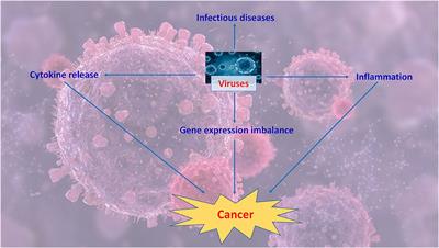 Editorial: Molecular Mechanisms of Pathogen-Driven Infectious and Neoplastic Diseases